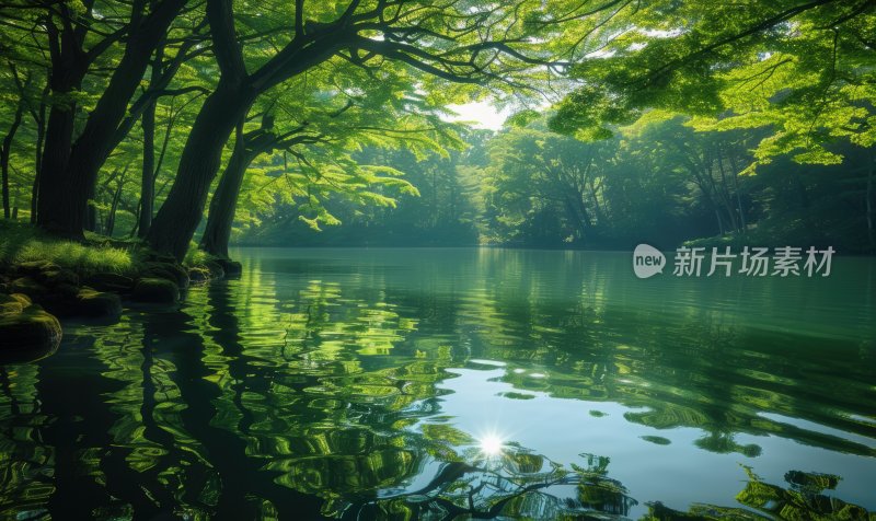 水面湖泊绿色自然宁静森林湖面背景