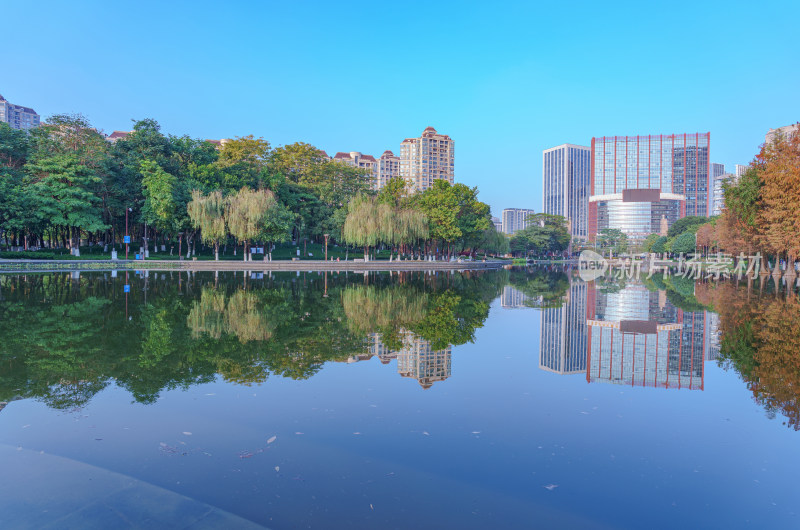 佛山千灯湖南海活水公园落羽杉林与城市建筑