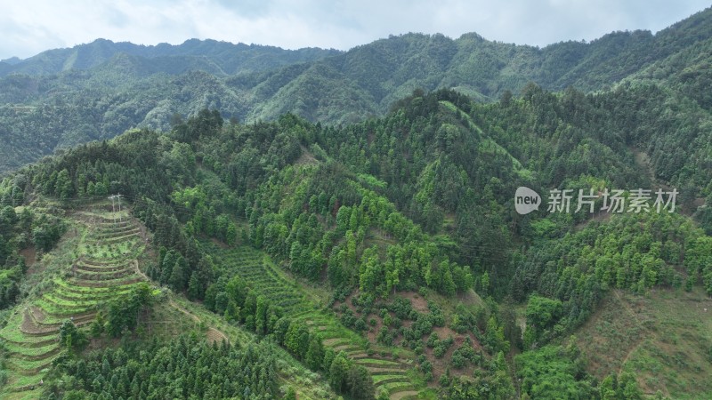 航拍绿色山区大山自然风光青山生态环境金秀