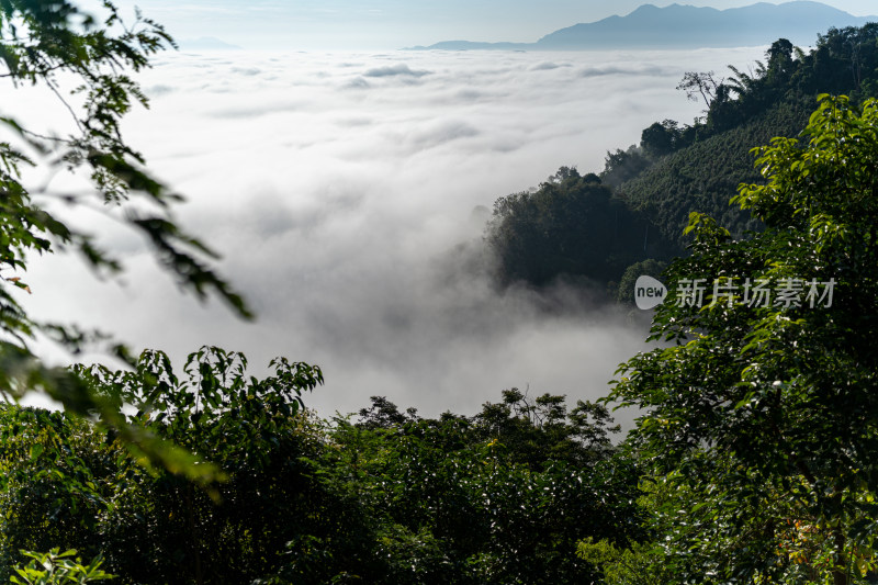 山顶的云海