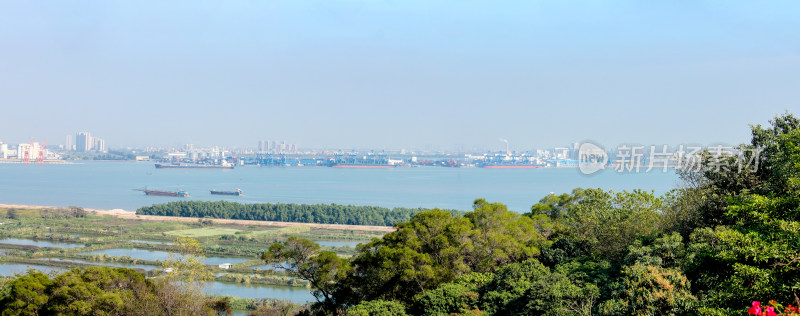 广州港海上船只景观