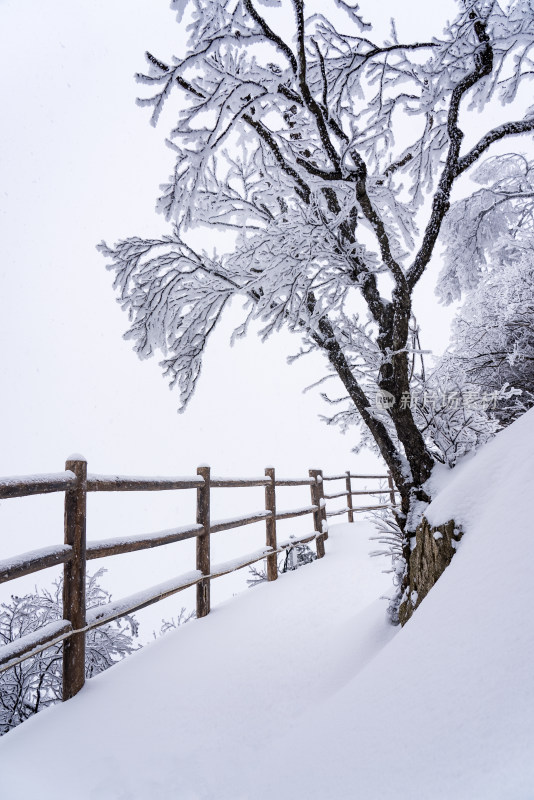 寒冷冬季景区雪后栈道