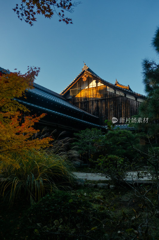 庭院 日式 夕阳 日式建筑