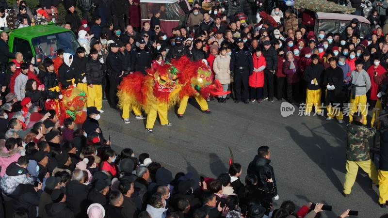 节日舞狮庆祝狮舞