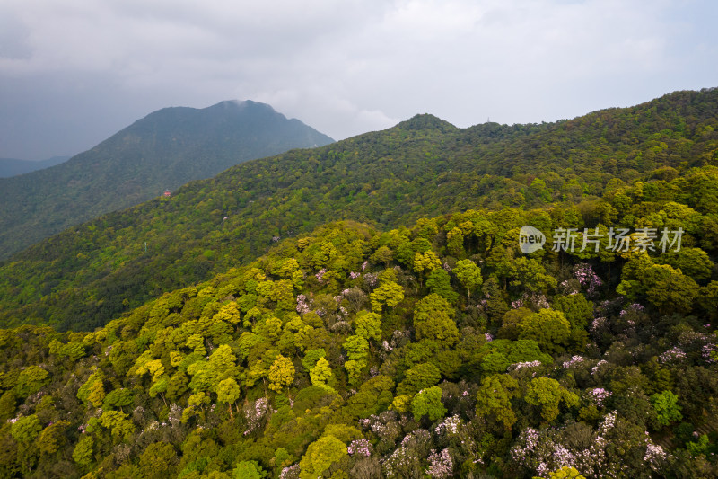 深圳梧桐山航拍图