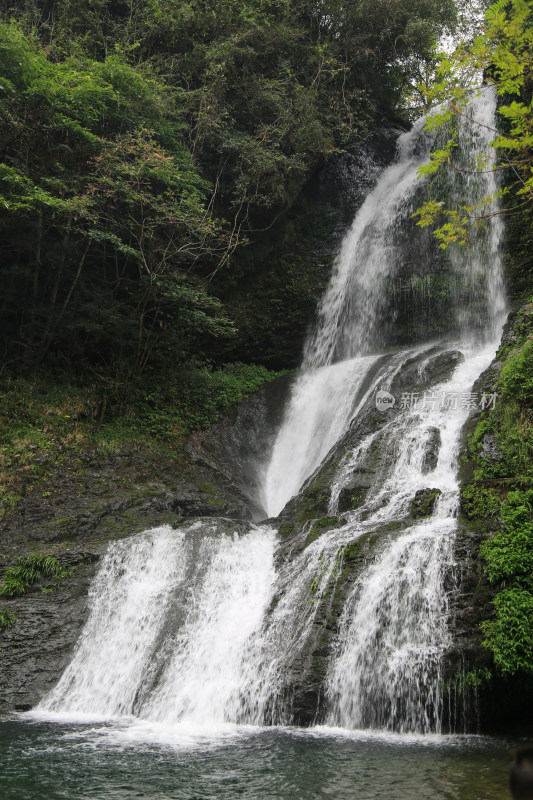 瀑布 山林 溪流