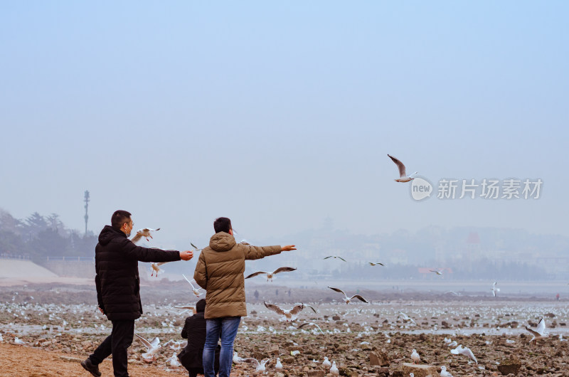 在海边喂食海鸥的两个男子