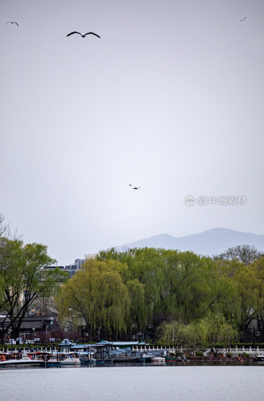 北京什刹海后海公园景点景观