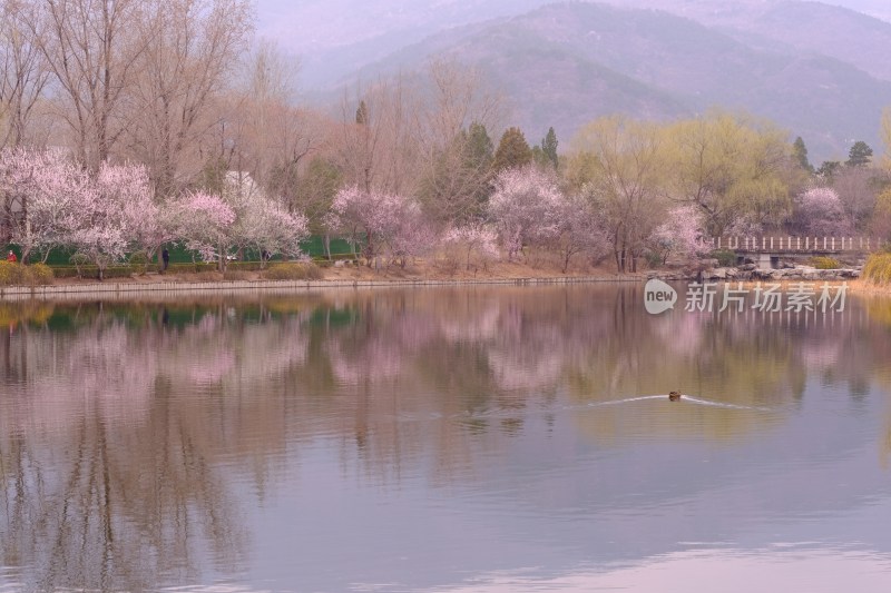 风景系列