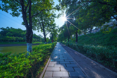 广州番禺金山湖文化公园滨湖林荫公路景观