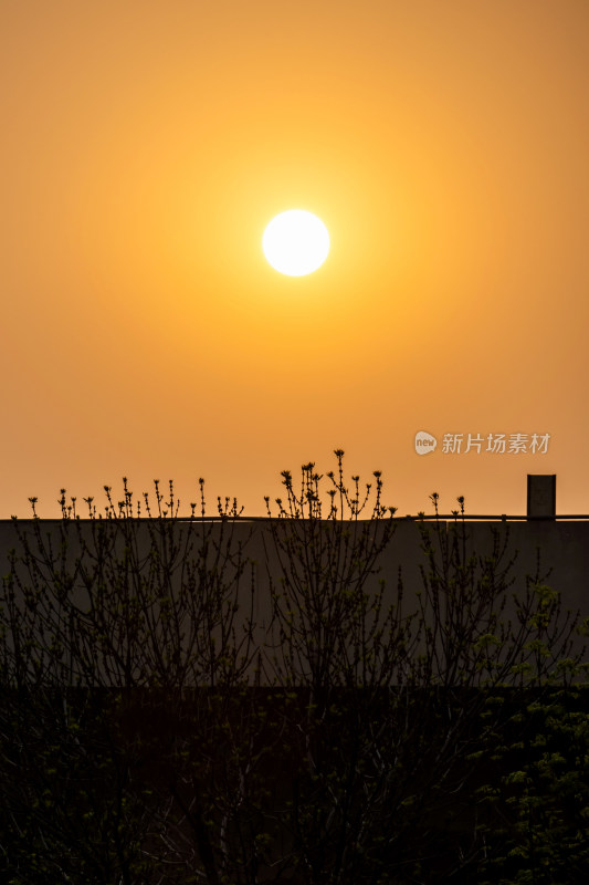 落日余晖夕阳剪影