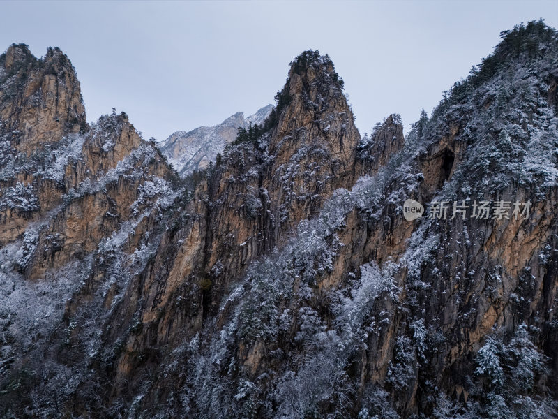 南阳老界岭冬季雪景风光