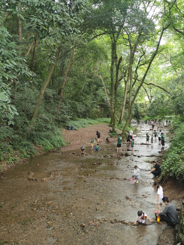 树林小溪边人群休闲玩耍场景