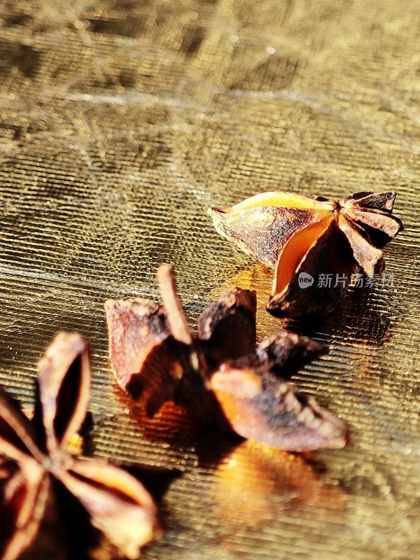 亮色背景下的干枯八角特写