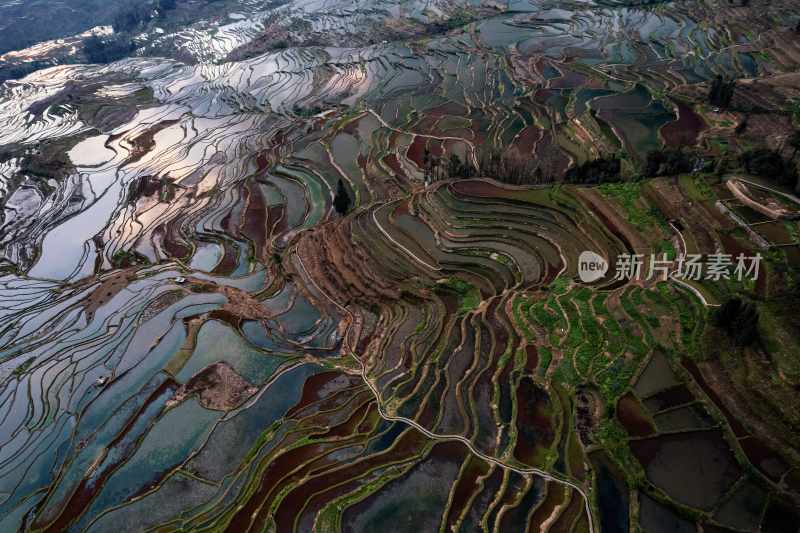 云南旅游大理洱海蒙自弥勒建水元阳梯田景区