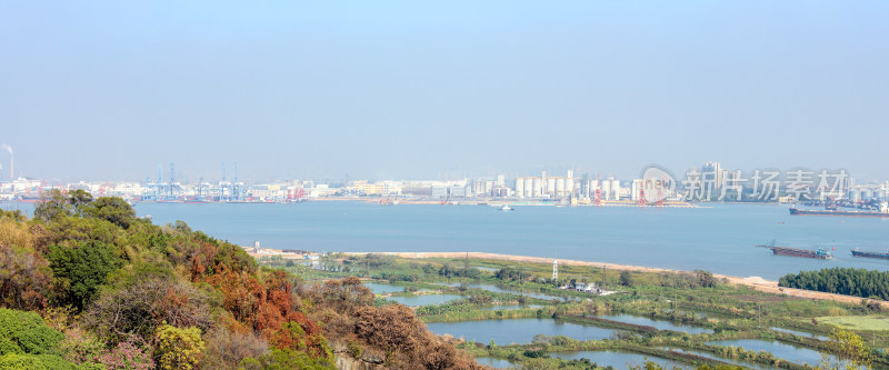 广州港海上船只景观