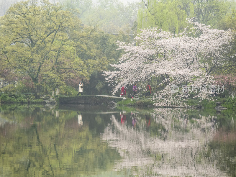 杭州西湖花港观鱼风景