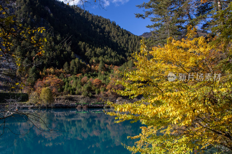 九寨沟秋色，平静蓝色水面与山林秋叶