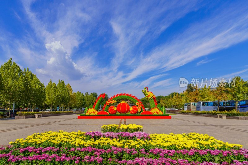 青州九龙屿风景区金秋菊花展外景