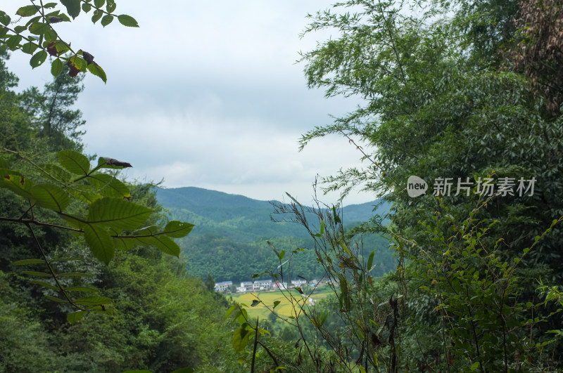 山顶风景