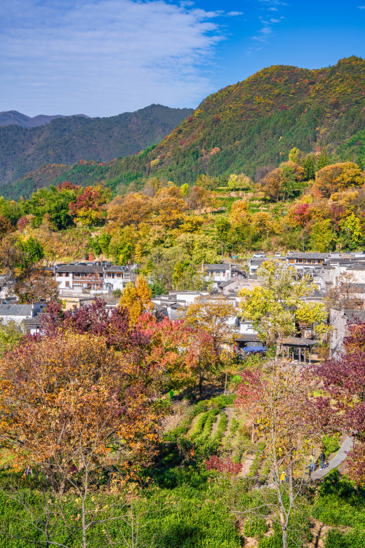 皖南秋色塔川国家森林公园