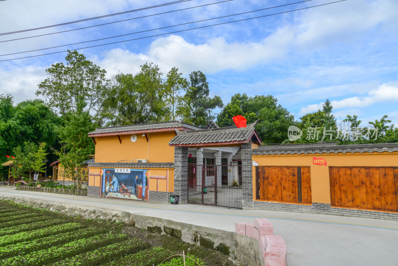 乡村建筑与农田风景