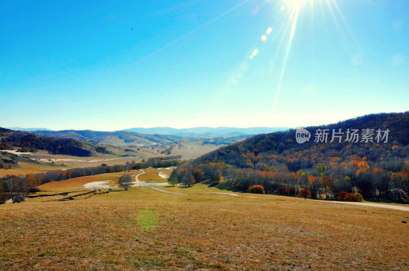 秋季的内蒙草原美景