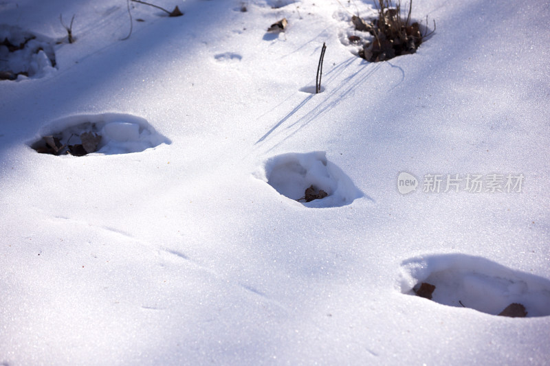 地面上遗留的残雪