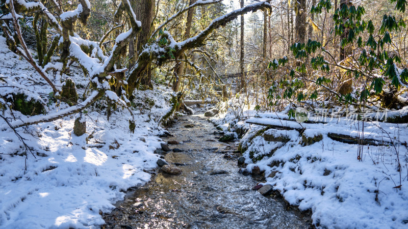 四川甘孜海螺沟景区冬季的雪水