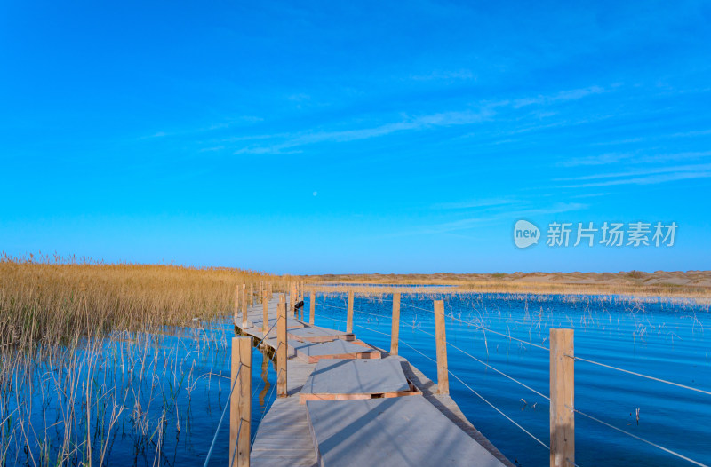 内蒙古额济纳旗居延海景区湖泊芦苇木栈道