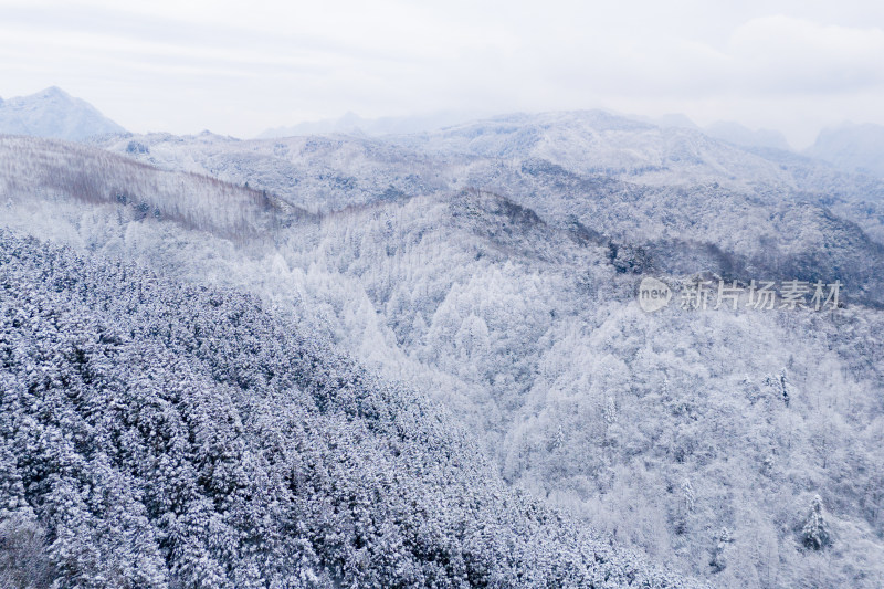 山王坪冬季雪景