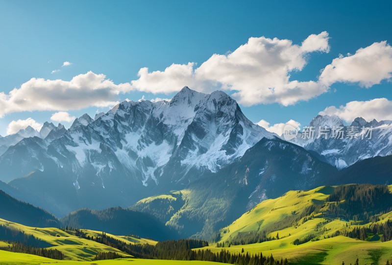 雪山草原森林风景