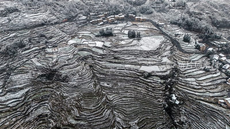 重庆酉阳：大雪纷飞赏雪忙