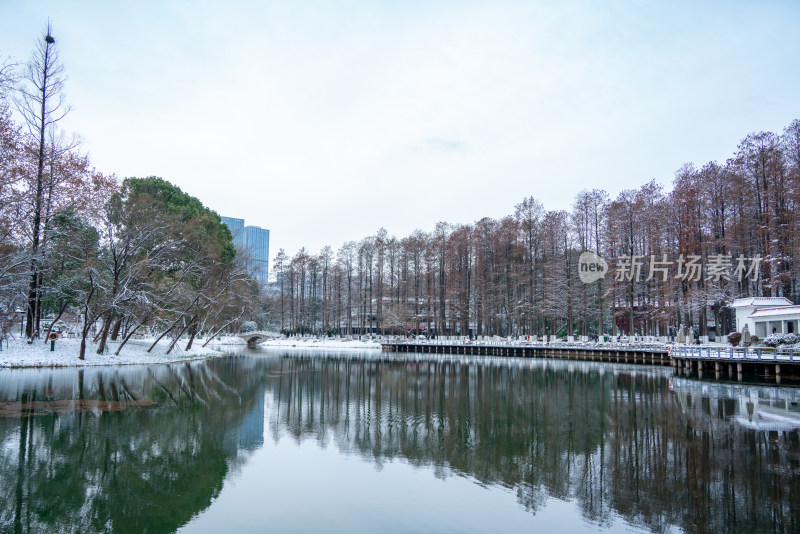 武汉冬天解放公园雪景