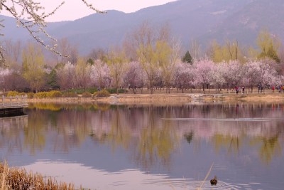 风景系列