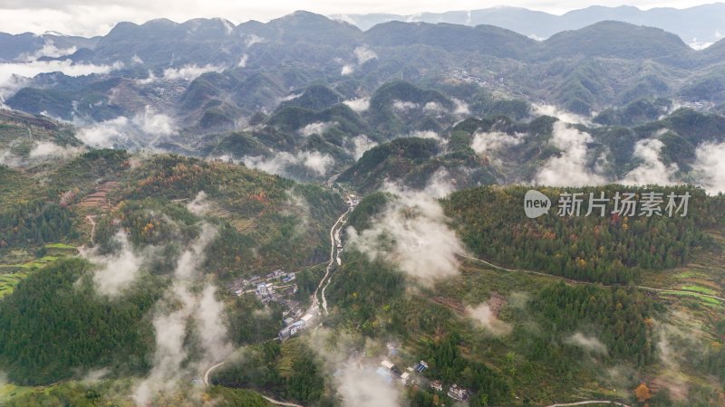 重庆酉阳：白果树边的美景