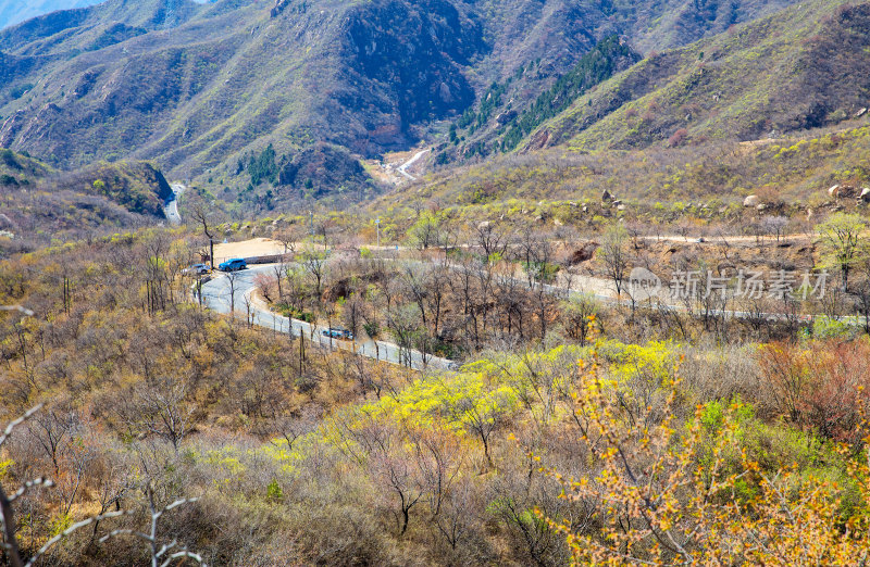 春天北京昌平昌赤路美景