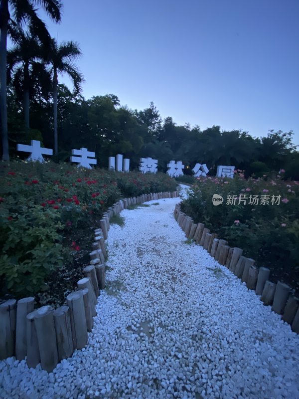 大夫山森林公园实拍美丽景色