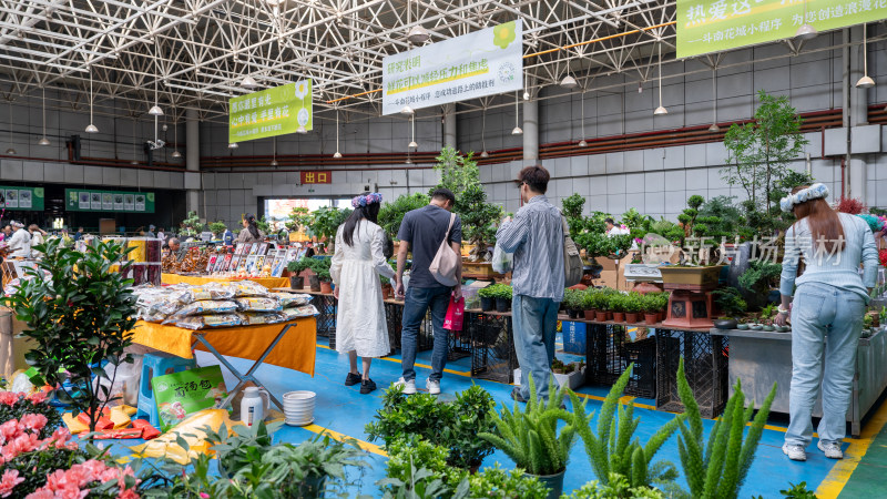 国庆假期云南昆明的斗南花市