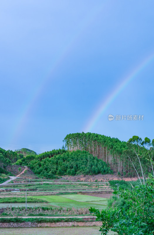 广西南宁乡村田野绿色山林与天空彩虹风景