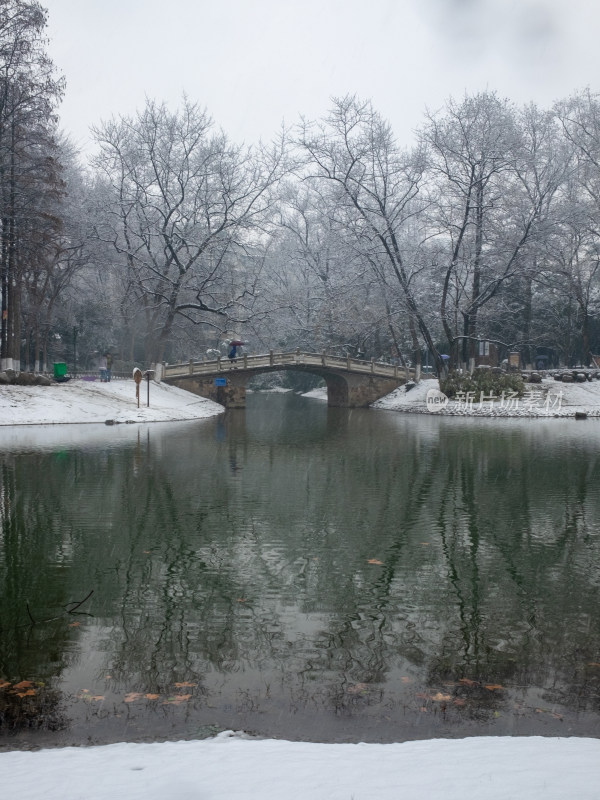 雪中树林小路 冬日唯美自然景观