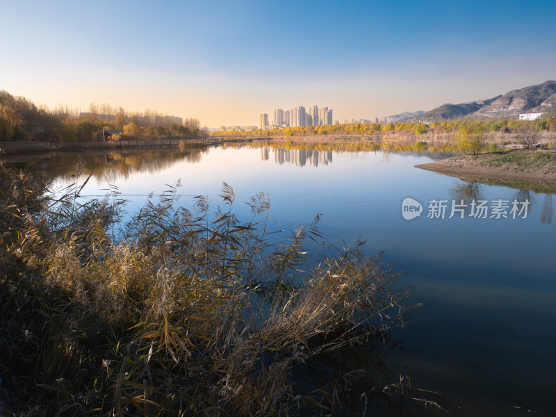 西宁 宁湖湿地公园 青海 秋天 秋季