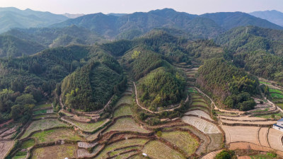 南方丘陵农田梯田航拍图