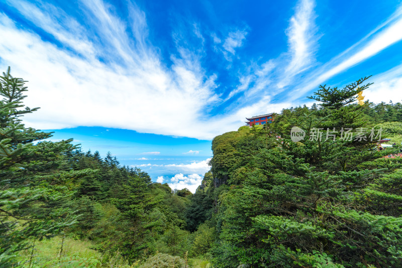 四川峨眉山自然风光