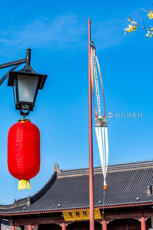 银杏树下的上海嘉定安亭老街菩提寺秋色景观