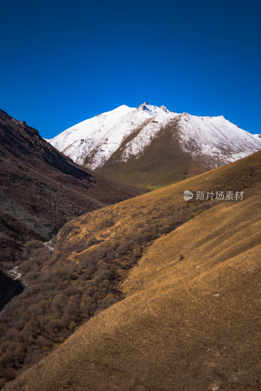 新疆天山山脉秋天雪山牧场风景