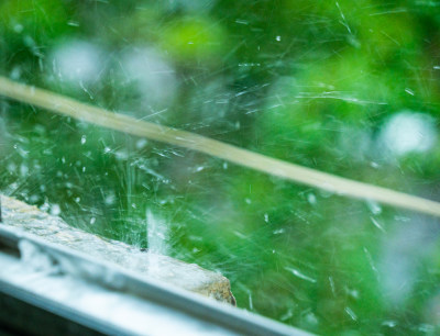 雨滴特写慢速快门