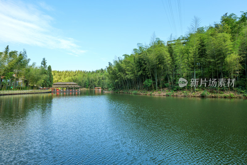 四川宜宾蜀南竹海