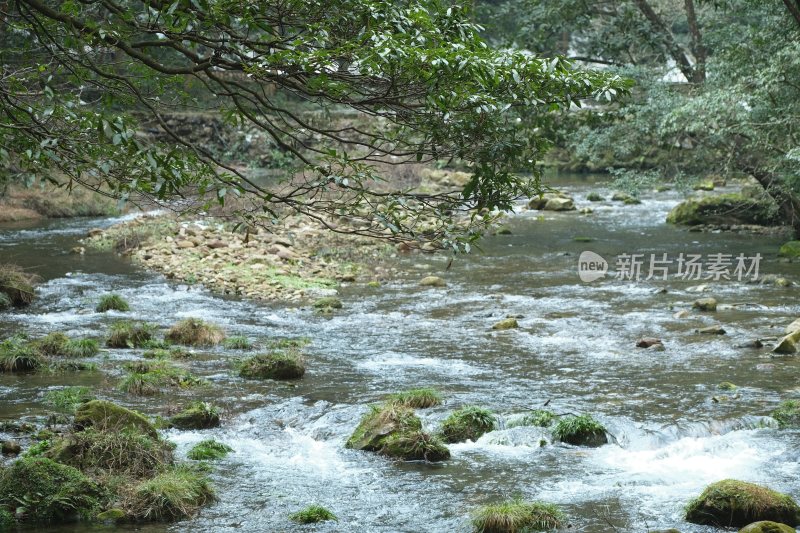 山间溪流自然景观