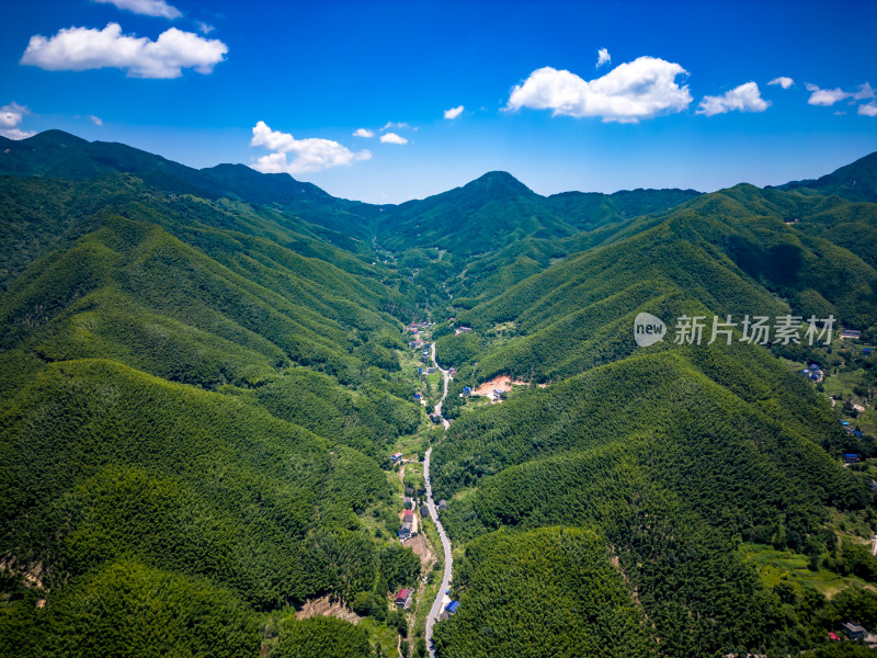 祖国大好河山南岳衡山竹林航拍图